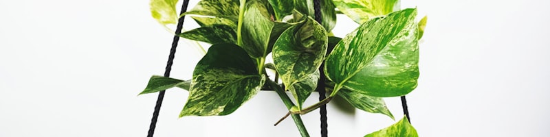 AC米兰球队在圣西罗球场训练场景